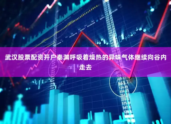 武汉股票配资开户秦渊呼吸着燥热的异味气体继续向谷内走去