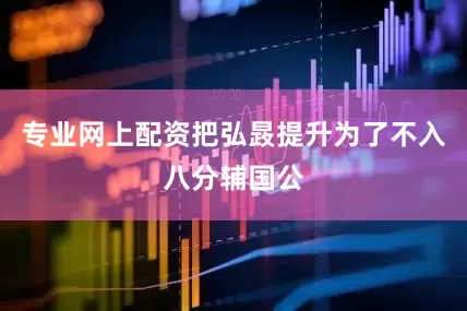 专业网上配资把弘晸提升为了不入八分辅国公