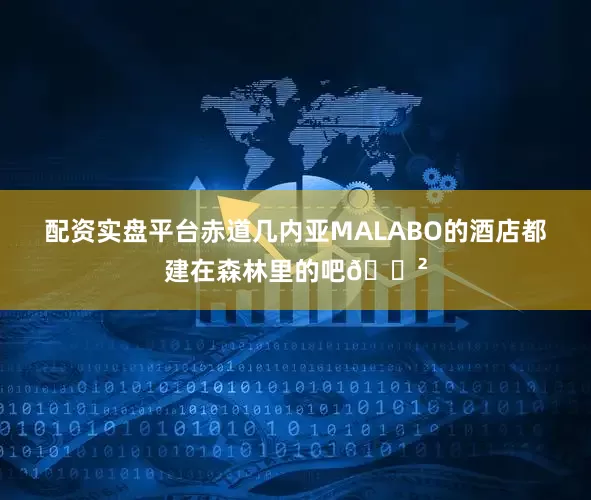 配资实盘平台赤道几内亚MALABO的酒店都建在森林里的吧🌲