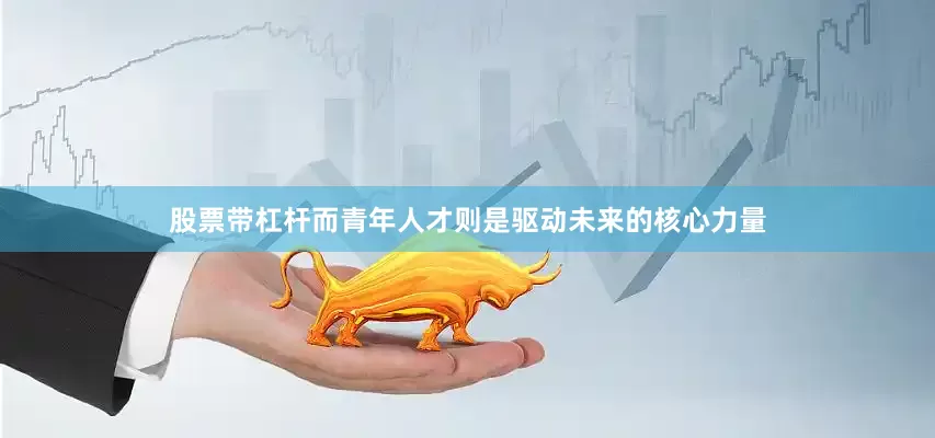 股票带杠杆而青年人才则是驱动未来的核心力量