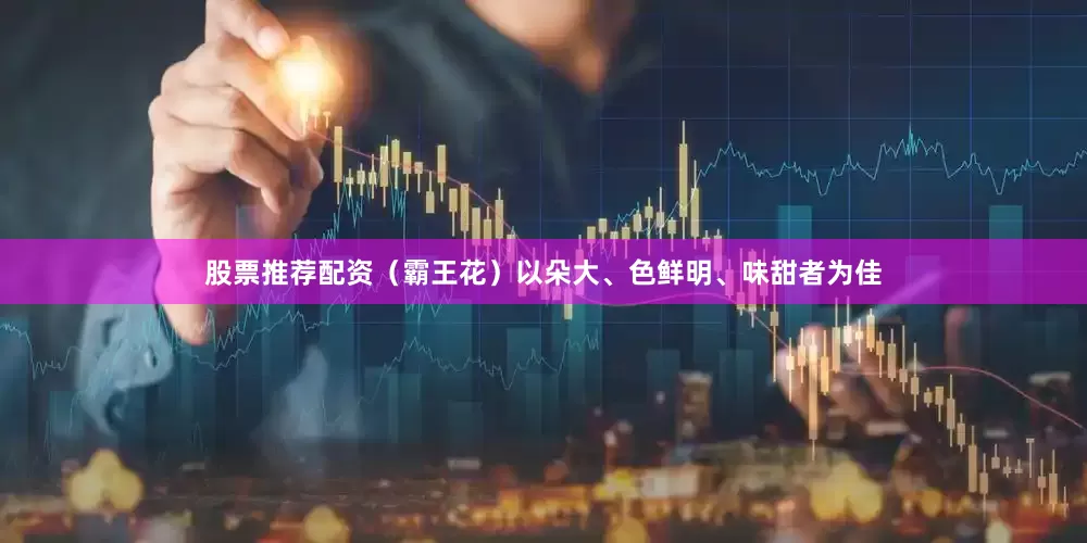 股票推荐配资（霸王花）以朵大、色鲜明、味甜者为佳